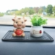 Lucky+Potted+небольшая анти -слава
