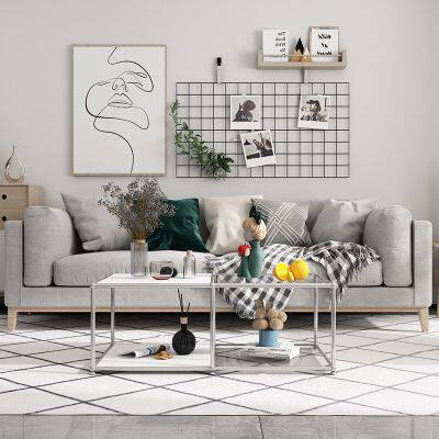 Medieval net red simple light luxury coffee table living room net red stainless steel tempered glass Mo plate table combination creative design