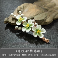 Поиск ветвей и держателя зеленого сливы [чистые ручные цветы]