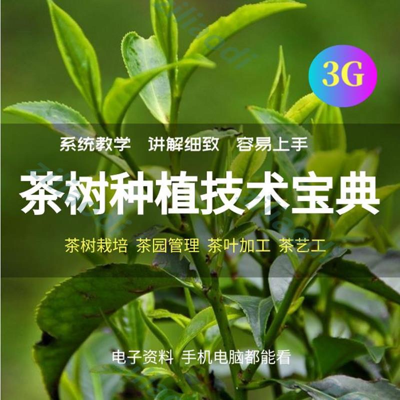 Tea Tree Planting Technical Information, Tea Cultivation and Processing, Tea Garden Management, Breeding, Fertilization, Pest Control, Ppt Courseware