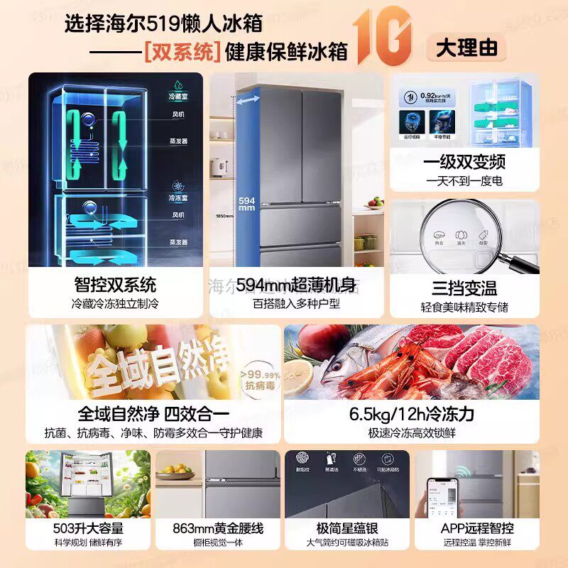 海尔LF4-519WDS9U1冰箱图片