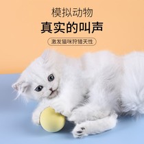 Cat sticks resistant to bite molars cat toys electric sound ball pet self-Hi relief catnip electric cat supplies