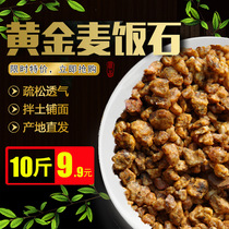 Gold wheat rice stone particles meat special nutritional soil mixed soil paving 10 kg