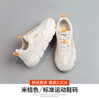 12T1089M METER ORANGE [Double -Net Stitching]