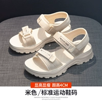 Бежевый, 322039м