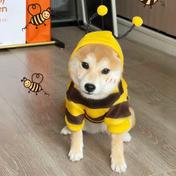 Puppy Clothes Autumn and Winter Bee Heattech Sweatshirt Chai Dog Teddy Bear Cute Kitten Funny Anti-hair