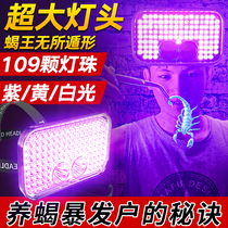 Super bright scorpion lamp head light strong light outdoor purple light Catch scorpion photo Scorpion special head-mounted charging large flood light