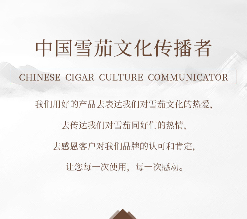 CL-500 LIGHTER DEFTAIL PAGE_13.JPG