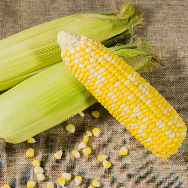 兰园芳莲 甘肃产 新鲜水果玉米 9根共2~2.4kg 天猫优惠券折后￥16.9包邮（￥36.9-20）