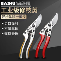 BAIHU White Tiger Gardening Cutting Import SK5 Steel Taiwan Branch Cutting Force Cutting Flower Cutting Fruit Cutting Cutting