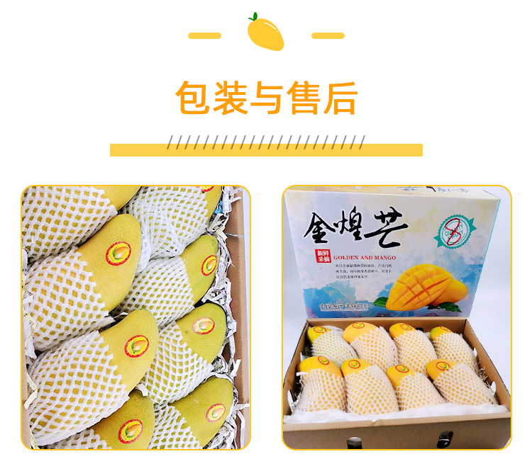 海南 金煌芒芒果 净重8斤 图13