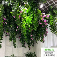 [Новые ранние последователи] Нежные листья и сафлоуки без света (1 квадрат)