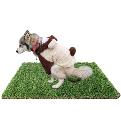 Фуальная подушка для туалета для собак.