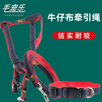 Denim dog collar pet dog collar small and medium-sized dog collar Teddy cat dog general large dog collar anti-strain