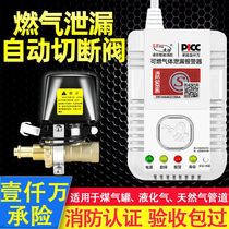 Lingfang (LFang) gas alarm cut-off valve natural gas alarm with solenoid valve household combustible gas