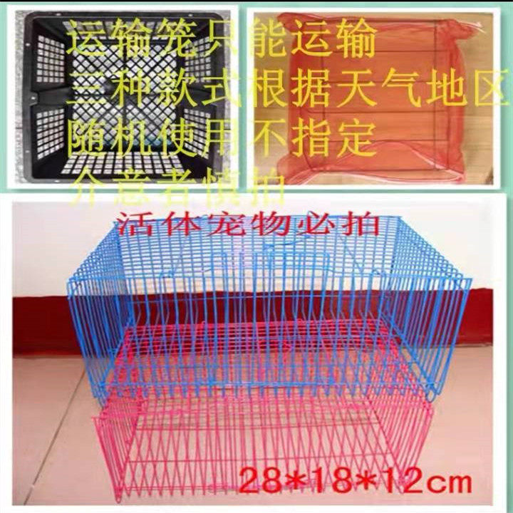 Pet Transport Cage Outside to carry mini-cage Color small cage supplement Must Pat Random Must-take Transport Cage