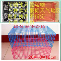 Pet Transport Cage Outside to carry mini-cage Color small cage supplement Must Pat Random Must-take Transport Cage