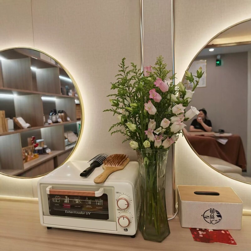 Tattoo and Embroidery Tools, Hair Salon Commercial Sterilizer, Tool Disinfection Cabinet, Digital Display Desktop Makeup and Mobile Phone Disinfection Box