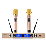 Сянке беспроводной микрофон домашний поет один -сделка с двумя металлическими u -частотационными микрофонами.