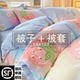 Quilt with Quilt Cover Two-In-One, Air-Conditioned Quilt, Suitable for All Seasons, Student Dormitory, Single/Double, Spring and Autumn Thickened Quilt Core, Winter Quilt