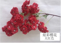 Вишневый цвет вишневой вишни (большой красный)