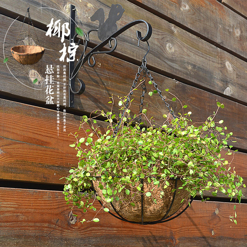 Coconut Palm Hanging Basin Round Iron Hanging Basket Hanging Basin Hook Pituitary Flower Pots Flowers Creative Multimeat Green Planting Gold Gülen Basin