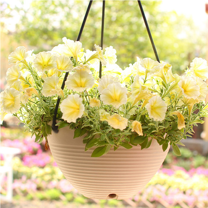 IRIS hanging basin Gold Ge thickened resin plastic hanging basin hanging plant Multi-meat hanging basket pelvic gondola hanging flower pots