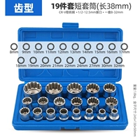 19 штук [тип зуба]