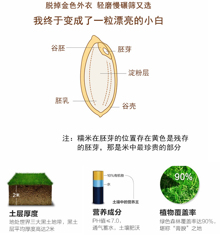 五常糯米粽子八宝饭东北大米糍粑米黏米10斤