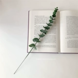 Стиль ins древний эвкалипт деньги листья ветви маленькие свежие имитация зеленых растений искусственные цветочные украшения цветочные композиции украшения в скандинавском стиле