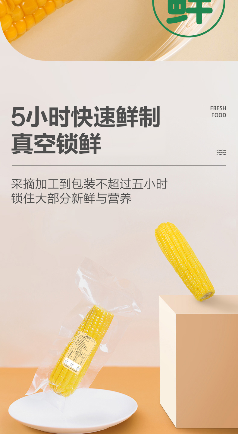 东北新鲜真空包装甜玉米8支 共1760g 图4