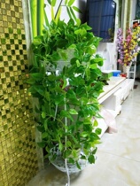 Fake green potted plant simulation indoor hanging orchid fake flower decoration hanging large living room long Vine plastic green plant wall hanging