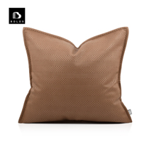 Modern light and luxurious board minimalist Nordic ins wind designer orange curry leather holding pillow sofa Living room leaning back