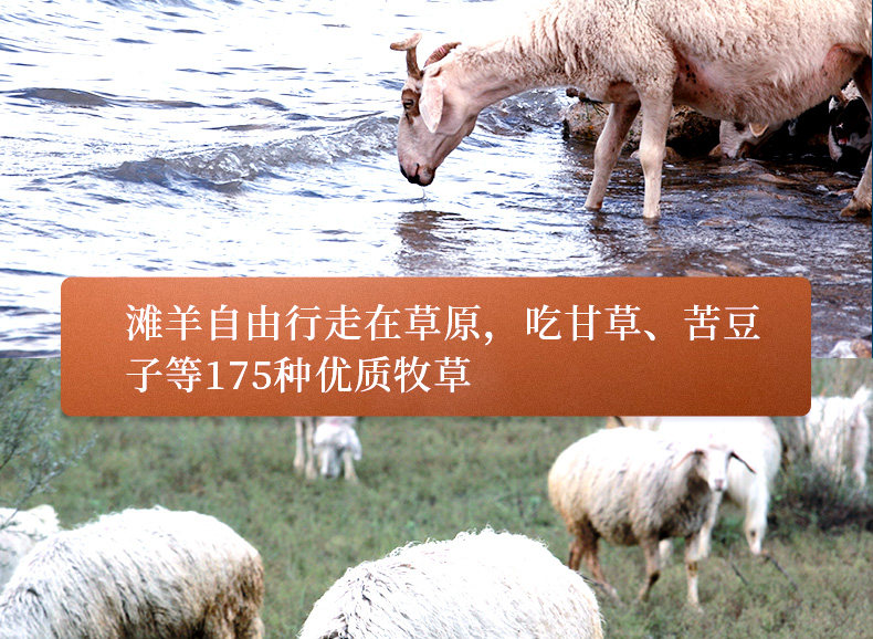 中国地理标志产品 6-8月盐池滩羊 羊后腿 4斤整 图6