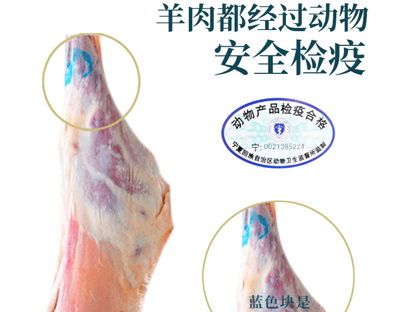 中国地理标志产品 6-8月盐池滩羊 羊后腿 4斤整 图8