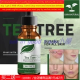 Масло чайного дерева Удаление прыщей