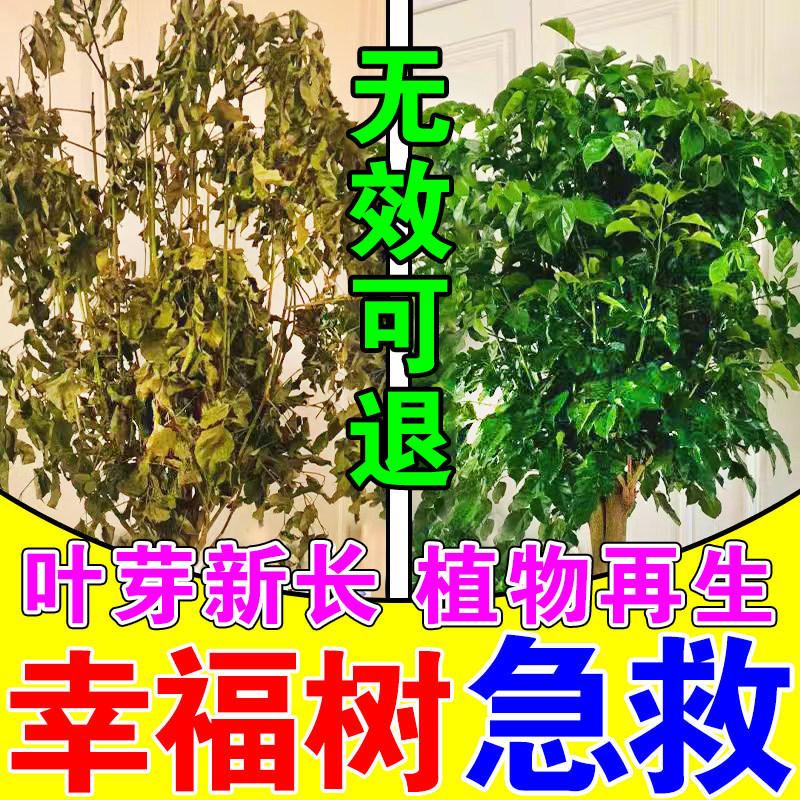 Specialized Nutrient Solution for Happy Tree, Fertilizer for Leaf Loss, Medicine for Yellow Leaves, Dead Leaves, and Root Rot, Leaf Spot Disease, Dead Tree Rooting and Regeneration Specialized Nutrient Solution for Happy Tree, Fertilizer for Leaf Loss, Medicine for Yellow Leaves, Dead Leaves, and Root Rot, Leaf Spot Disease, Dead Tree Rooting and Regeneration