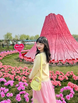 Internet celebrity pink volcano wedding layout photo check-in decorations proposal layout giant rockery