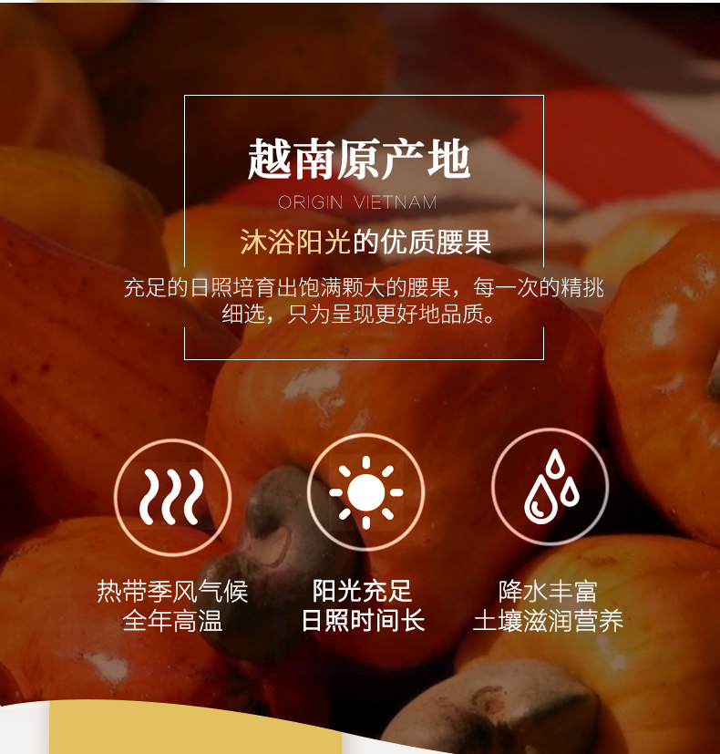 乐天韵 越南原味炭烧腰果 100g*2袋 图4
