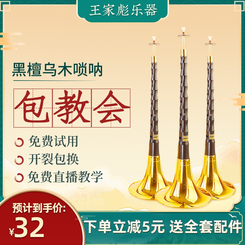 Wang Jiabiao Suona musical instrument full set of beginner national musical instrument horn d-tone trumpet professional Suona performance service