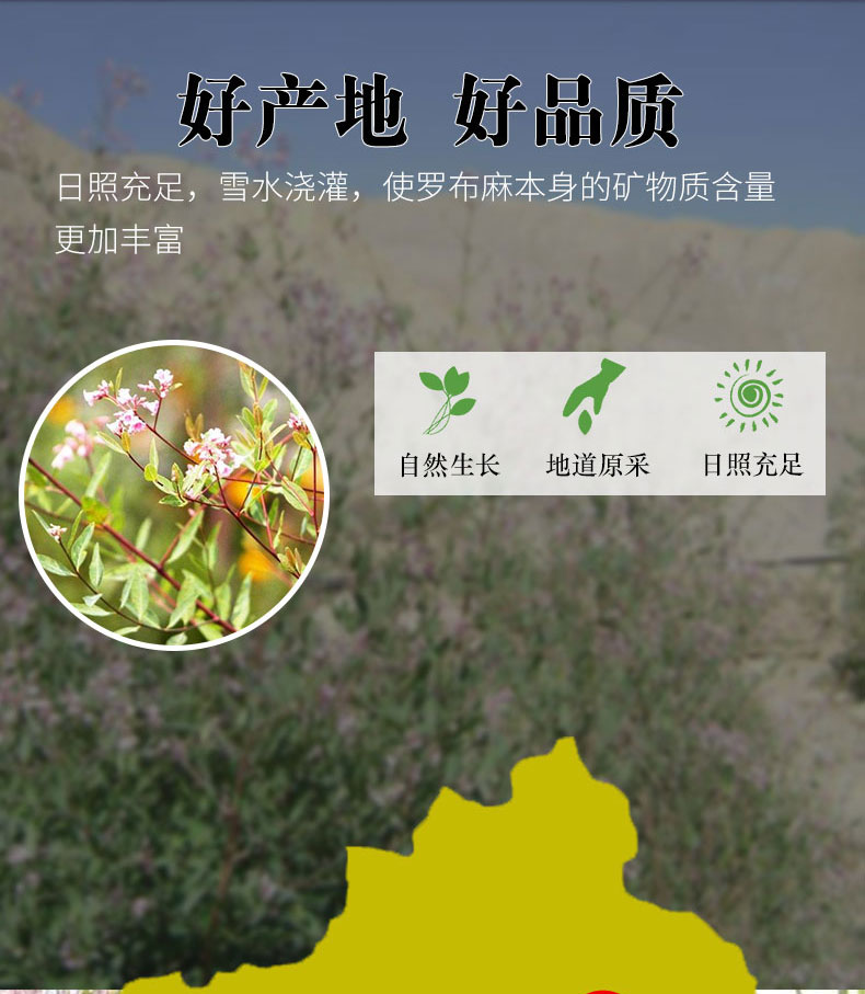 谯祖堂 罗布麻茶特级野生罗布麻新芽