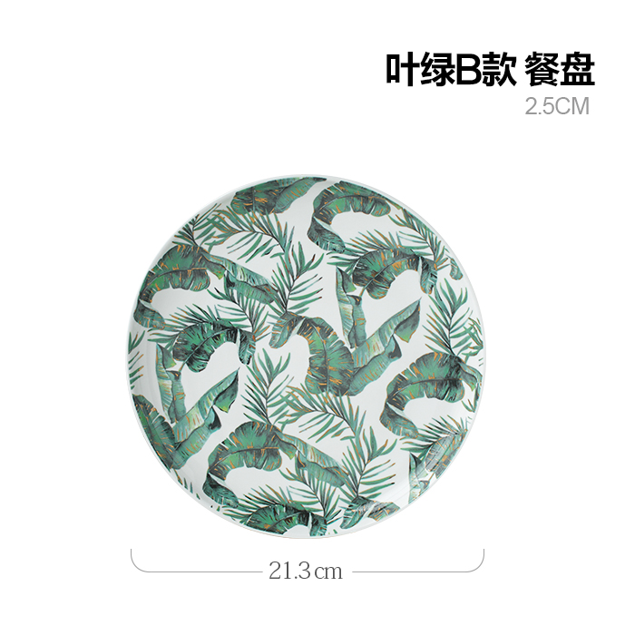 Colorful Dinner Plate Set