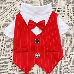 Pet Dog Teddy Small Dog Cat Spring and Summer Dog Clothes Thin Suit Shirt Suit Wedding Dress