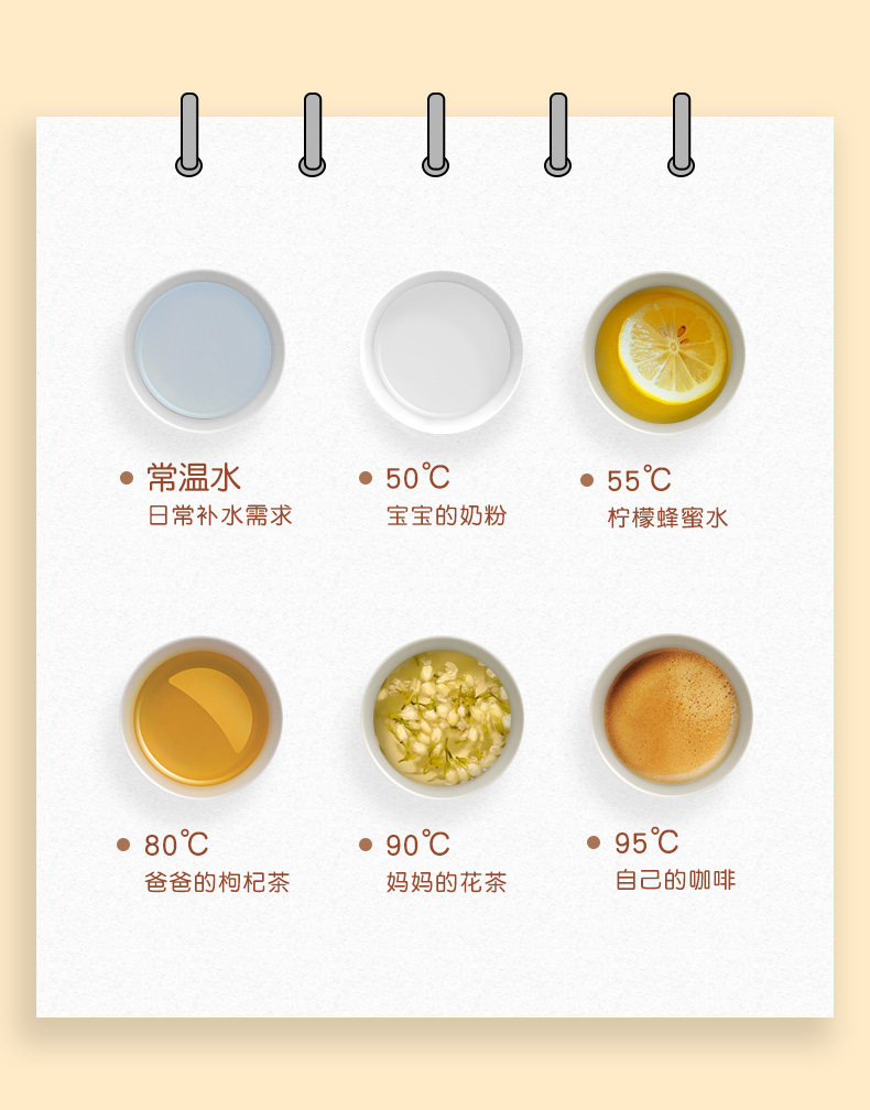 容声 养生壶 全自动小型玻璃煮茶壶 智能显温 图7