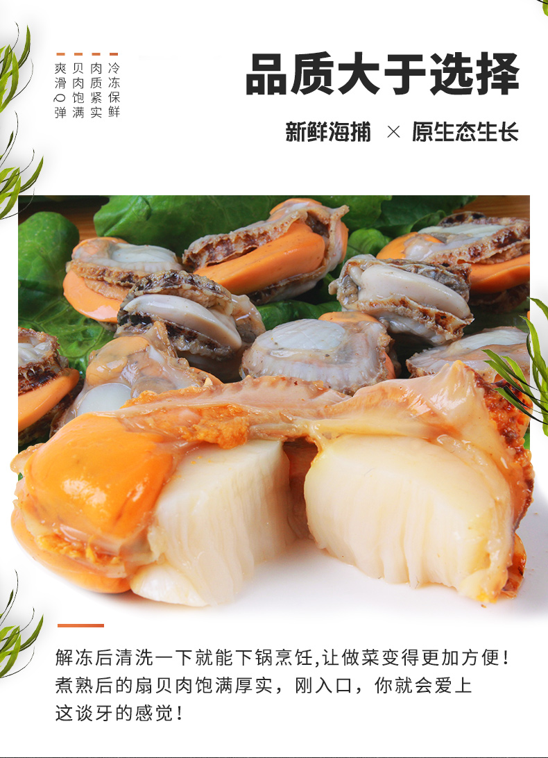鲸御鲜 超大鲜活熟冻野生扇贝肉  500g*3件 图3