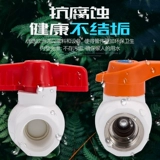 顶建 PPR Двойной внутренний проволочный стальный шариковой клапан 20 25 32 4 минуты 6 минут, 1 -дюймовый дюйм дюйм PPR PPR Water Tipe