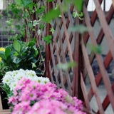 Деревянный забор цветочный бассейн забор для лазания цветочный стой