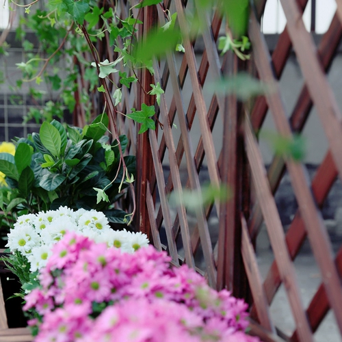 Деревянный забор цветочный бассейн забор для лазания цветочный стой
