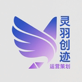 灵羽创迹运营策划