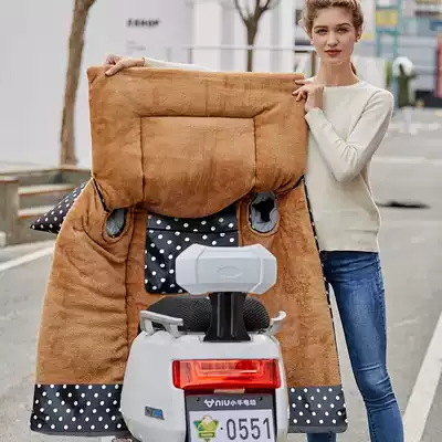 Electric car Winter cold-proof wind-proof winter rain-proof small winter cover electric car plus velvet thickened one-piece